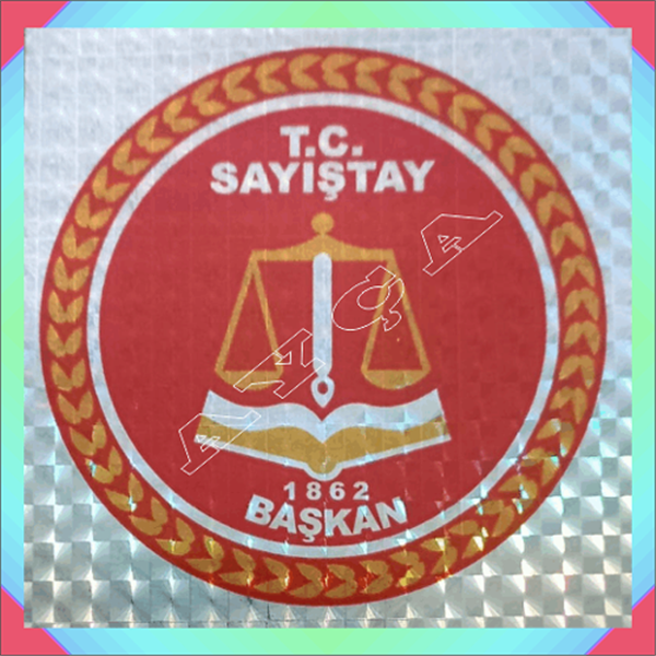 SAYIŞTAY BAŞKAN ARAÇ STİKIRI JANJANLI