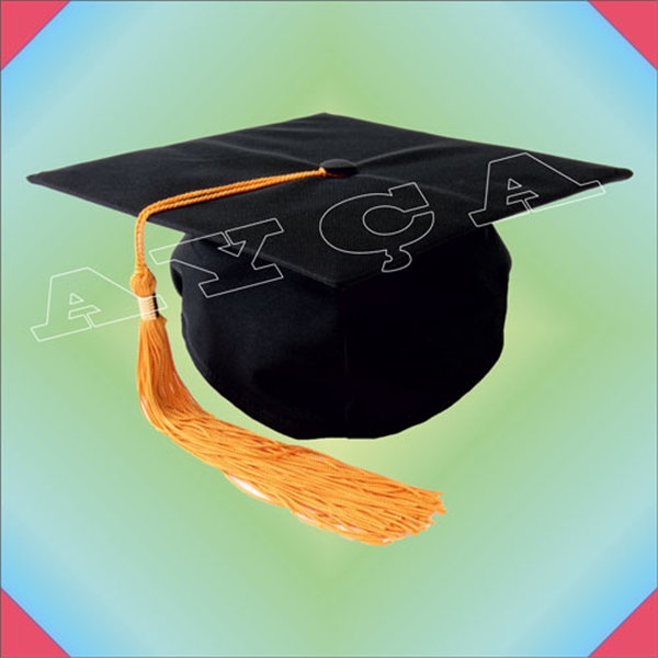 ŞPK013