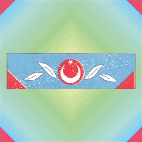 ŞRT018