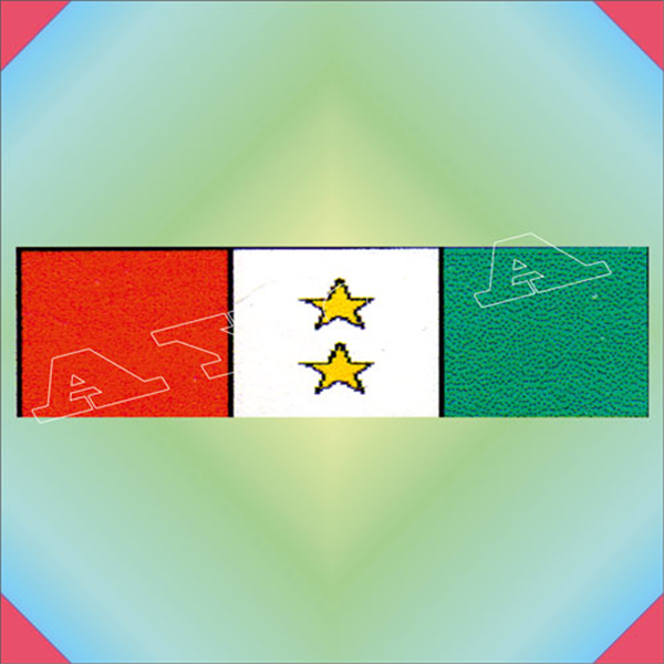 ŞRT095