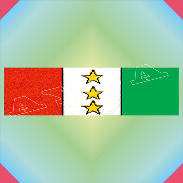 ŞRT096