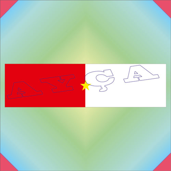 ŞRT133