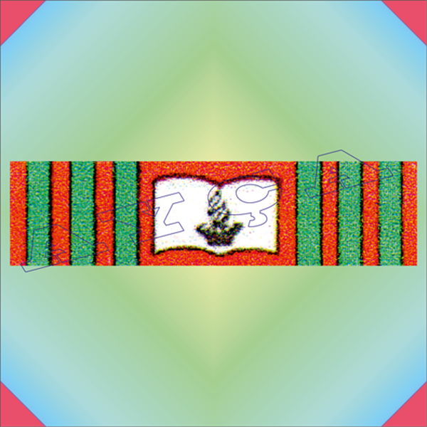 ŞRT196