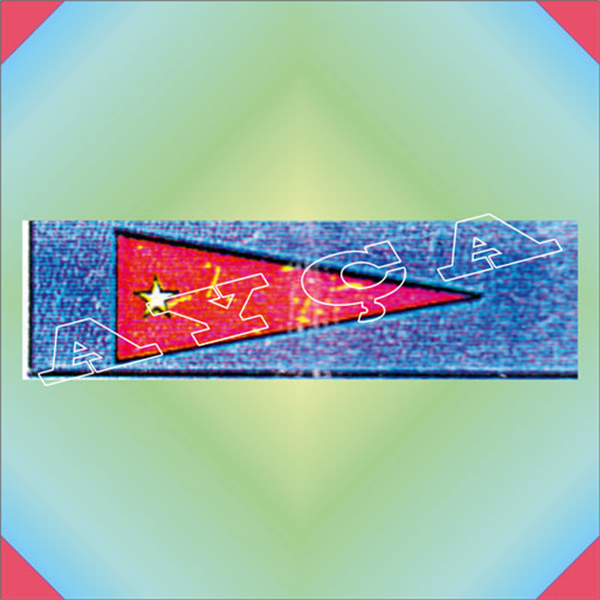 ŞRT206
