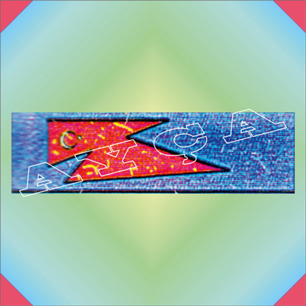ŞRT207
