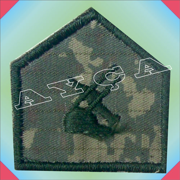 ASM117