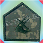ASM117