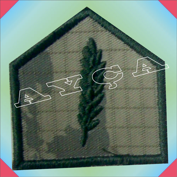 ASM119