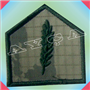 ASM119