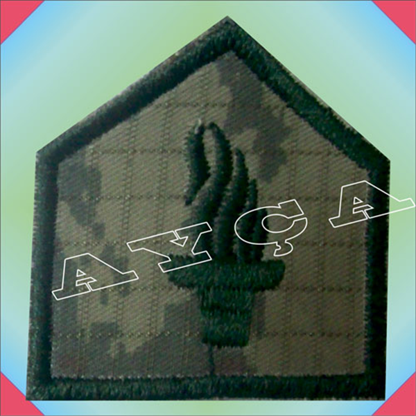 ASM123