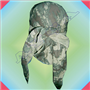 ASM141