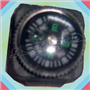 ASM198