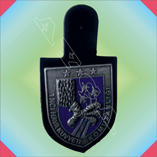 BRV009