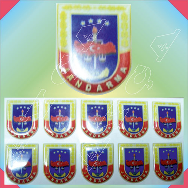 BRV081