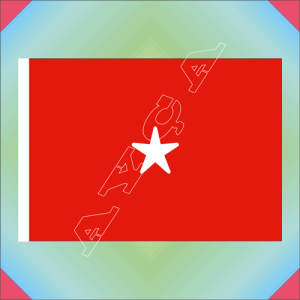 TUĞGENERAL KARŞILAMA FLAMASI
