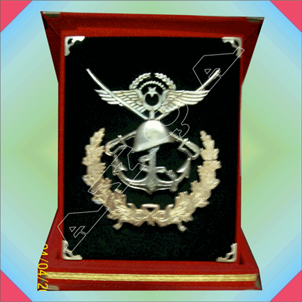 PLK006