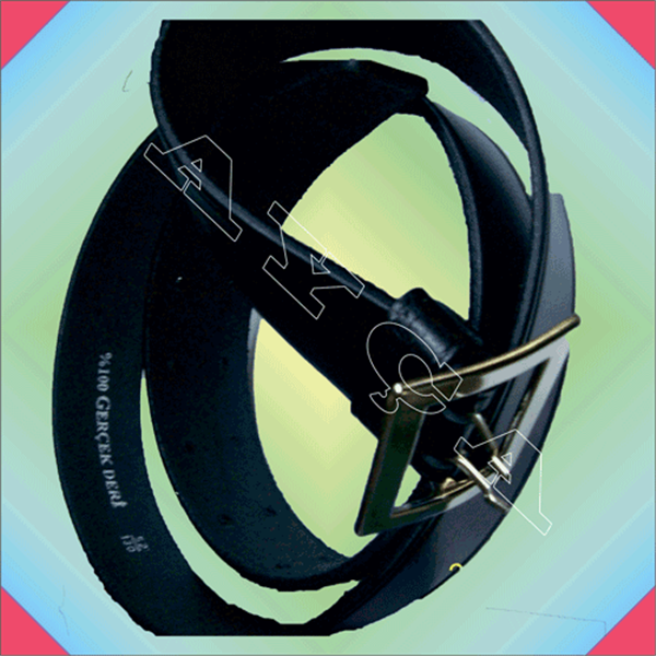 PLM012