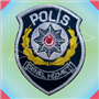 PLM071