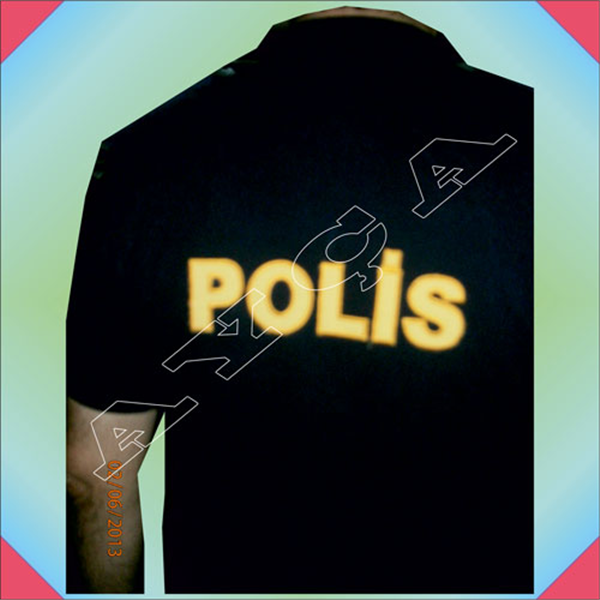 PLM095