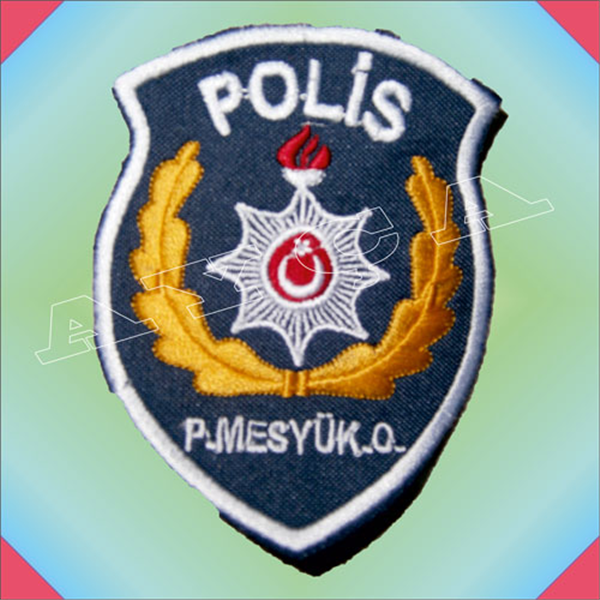 PLM100