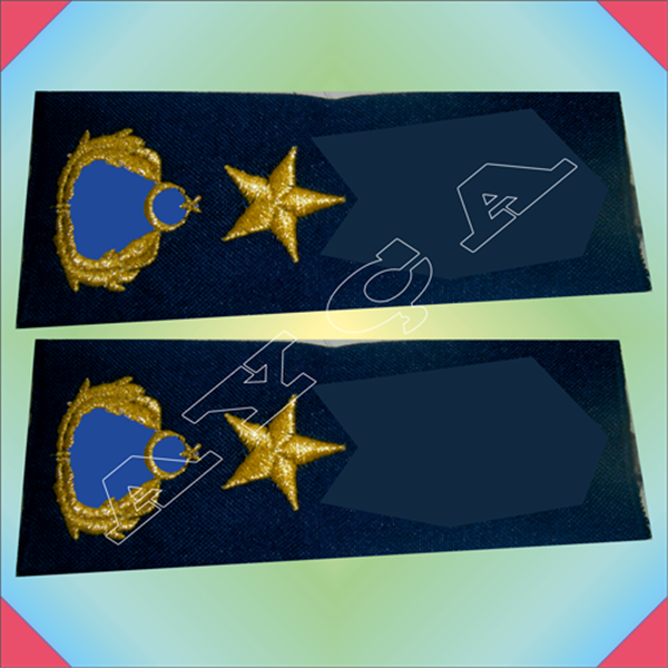 RTB334