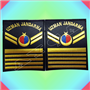 YENİ JANDARMA HARİCİ MUAZZAF 8 KADEME UZMAN ÇAVUŞ RÜTBE