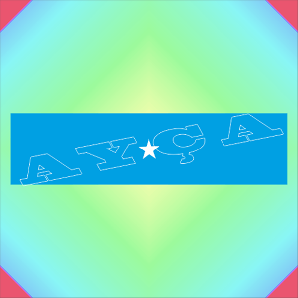 DAİRE BAŞKANI TUĞGENERAL ŞERİT ROZETİ