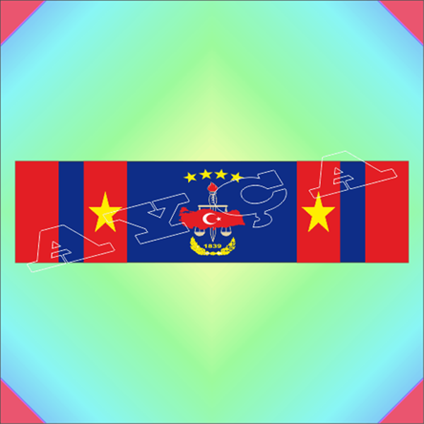 HAREKAT 2. VERİLİŞ ŞERİT ROZETİ