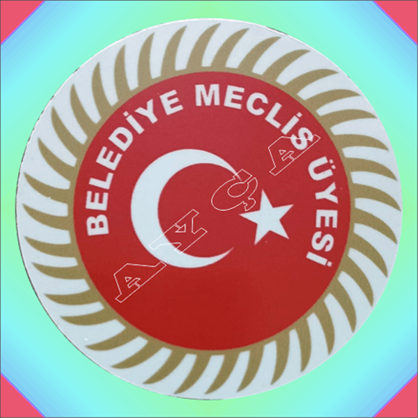 BELEDİYE MECLİSİ ARAÇ STİKIRI