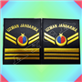 YENİ JANDARMA HARİCİ MUAZZAF 6 KADEME UZMAN ÇAVUŞ RÜTBE