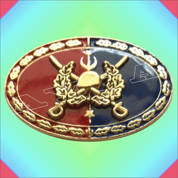 JANDARMA SUBAY KITA HİZMET BÜYÜK 1 YILDIZ BROVE