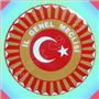 İL GENEL MECLİSİ ARAÇ STİKIRI