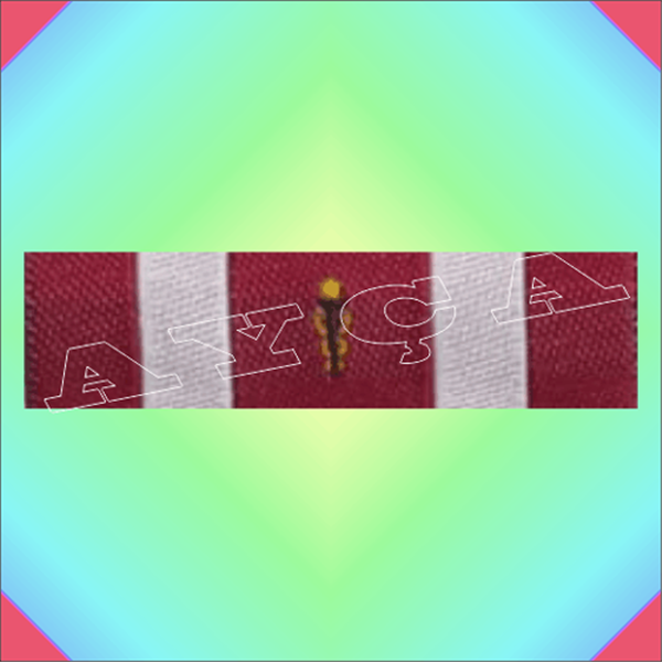 SAĞLIK ASTSUBAY MEZUNİYET ŞERİT ROZETİ