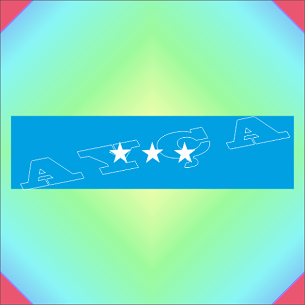 DAİRE BAŞKANI KORGENERAL ŞERİT ROZETİ