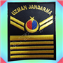 YENİ JANDARMA HARİCİ MUAZZAF 8 KADEME UZMAN ÇAVUŞ RÜTBE