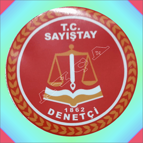 SAYIŞTAY DENETÇİ ARAÇ STİKIRI