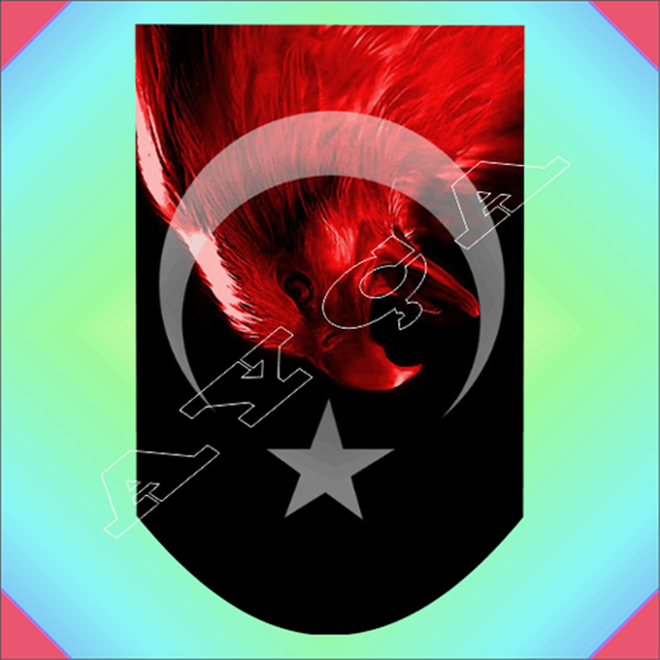 AY YILDIZLI KARTAL ŞARJÖR ALTLIĞI