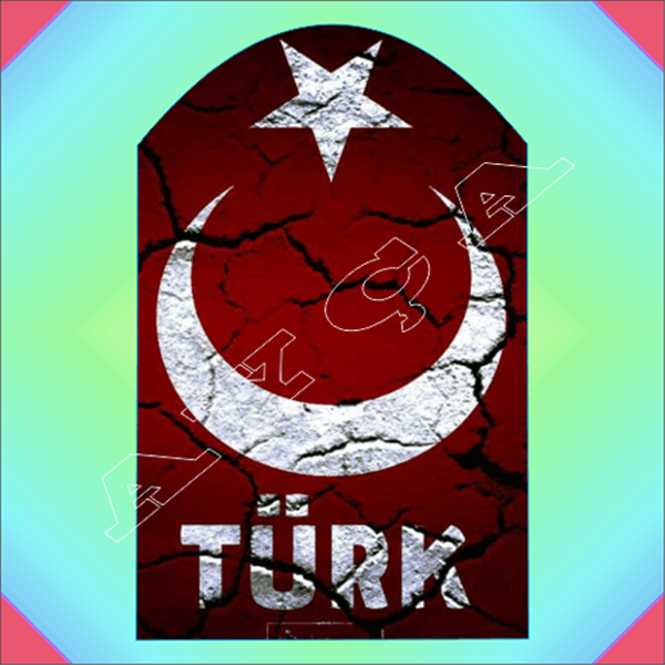 TÜRK ŞARJÖR ALTLIĞI