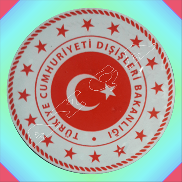 DIŞİŞLERİ BAKANLIĞI  ARAÇ STİKIRI