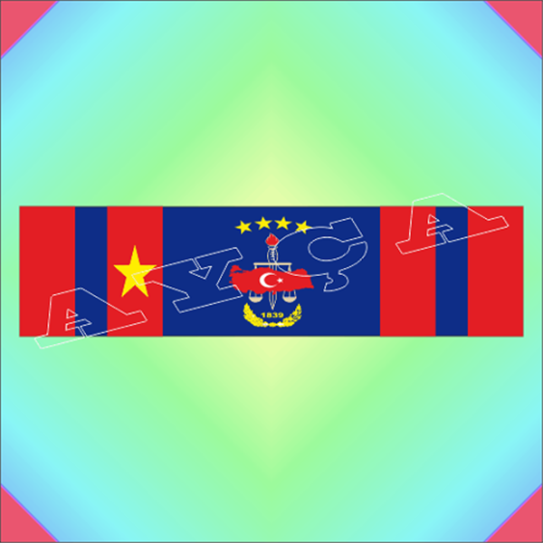 HAREKAT 1. VERİLİŞ ŞERİT ROZETİ
