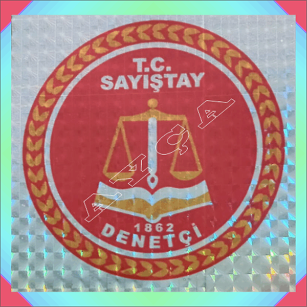 SAYIŞTAY DENETÇİ ARAÇ STİKIRI JANJANLI