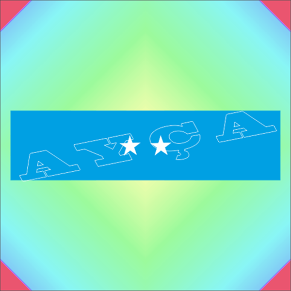 DAİRE BAŞKANI TÜMGENERAL ŞERİT ROZETİ