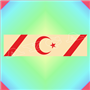 GÖREV YARALISI ŞERİT ROZETİ