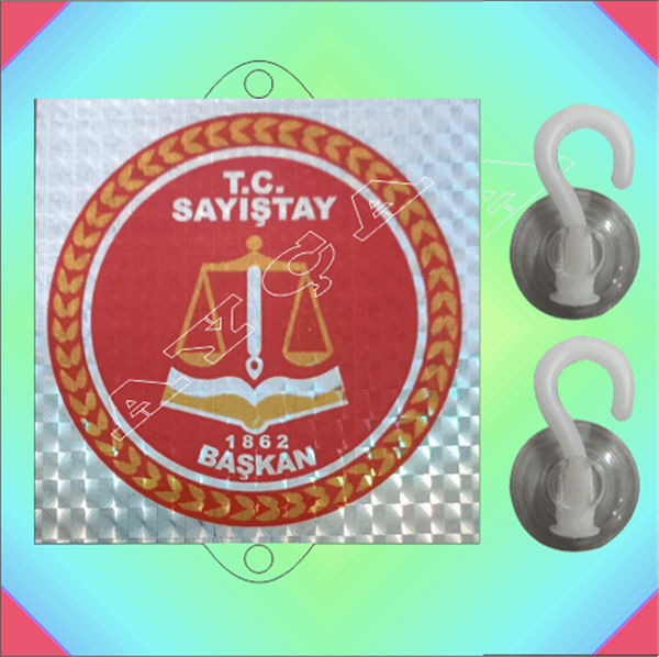 SAYIŞTAY BAŞKAN VANTUZLU ARAÇ STİKIRI JANJANLI