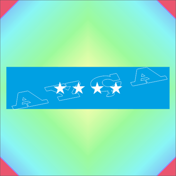 DAİRE BAŞKANI ORGENERAL ŞERİT ROZETİ