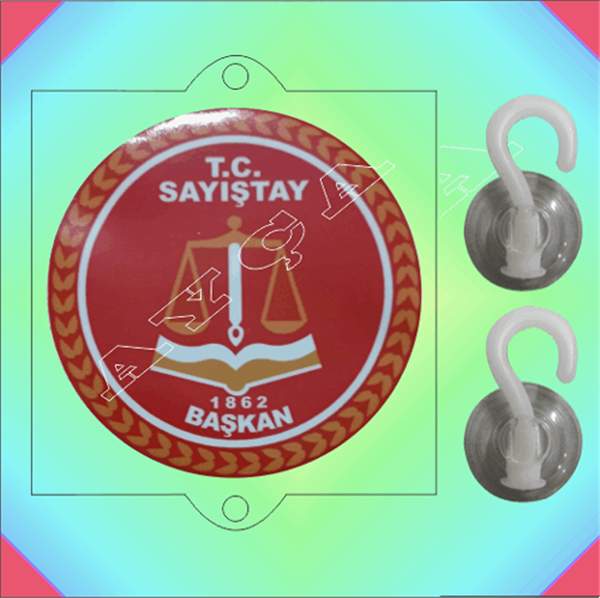 SAYIŞTAY BAŞKAN VANTUZLU ARAÇ STİKIRI