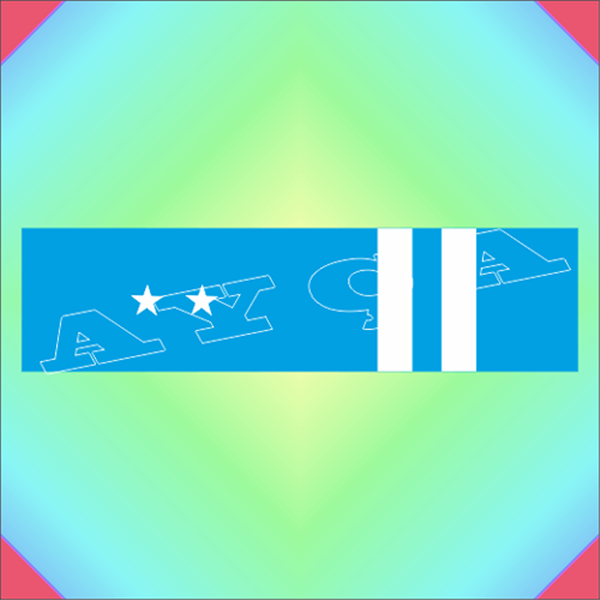 5 YIL ŞUBE MÜDÜRLÜĞÜ YAPANLAR ŞERİT ROZETİ