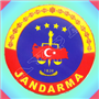 JANDARMA ARAÇ STİKIRI