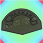 ÖZEL BASKI HAKİ KUMAŞA İL YAZISI (HAKKARİ) KOL ARMASI
