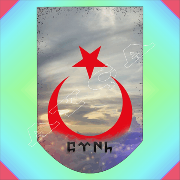 AY YILDIZLI ŞARJÖR ALTLIĞI